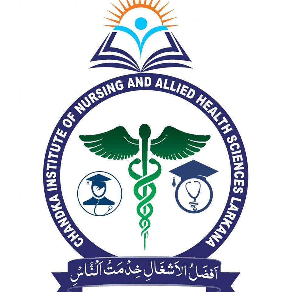 CINAHS Logo